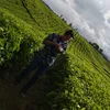 agu_eng