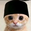 maulanayusuf8496