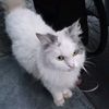 user.1_23445
