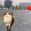 indonesia_roblox1