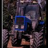 vaqif962