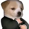 xamnhatvn5