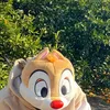 setoshi_1119