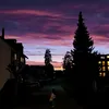 alina_tgg