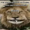 ponos_3405