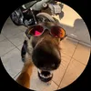 bisnaguinho_974