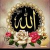 user5231427244138