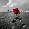 ressam_222
