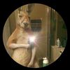 ian.armando35