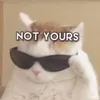 xtacott