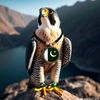 yasir123khan05