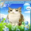 www.comk9