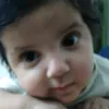 dayalzaedy