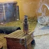 naturelover20004