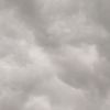 xander_0744