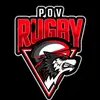 pov_rugby