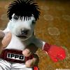 iker_el_facherito