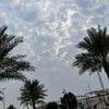 eman_al1409