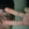 vitrolesalves
