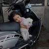 eily313