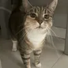 thisisnotaoifee