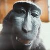 chocmonkeman