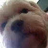 nicolxavier