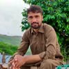 zisshi.jaan