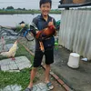 long.bii32