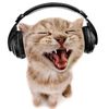 cat_citiks