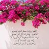 ds_4i4