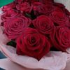wanndjkl__6789