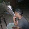hamraouihamraoui6