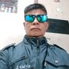 semut_gramang99