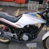 fahmyfahmy803