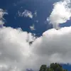 natanielhernandez6