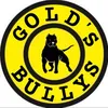 golds_bullys