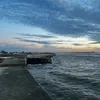 tiagocarvalholi82