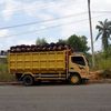 arief94095