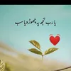 ziaayeshashahzain