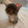 imjustmeintrovert