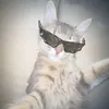 ana_260513