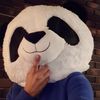 pandamotosoftpaws420