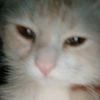 leli0o9