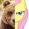 fluttershyxbearuwu
