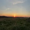 alf_wil_14