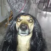 semidarkness78