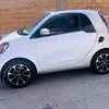 armandoferri1