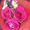 flor_san74