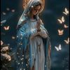 lianloswash5